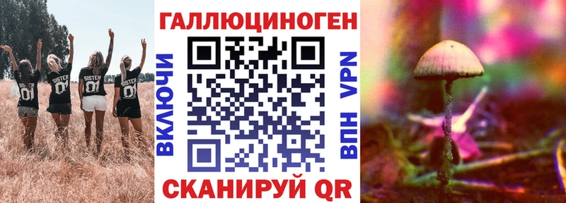 blacksprut как войти  Щигры  Псилоцибиновые грибы Psilocybe 